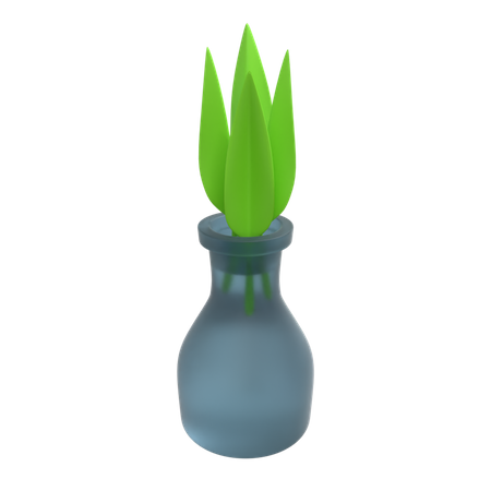 Plante décorative  3D Illustration