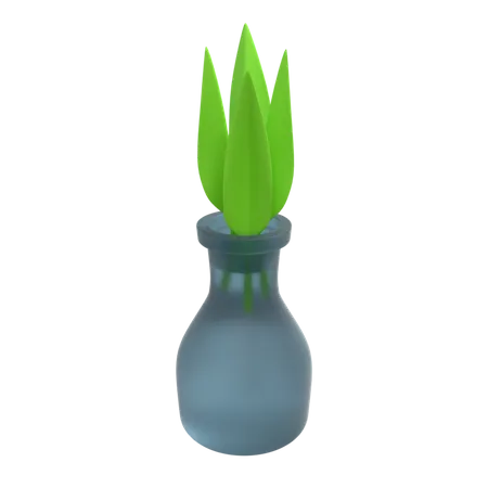 Plante décorative  3D Illustration