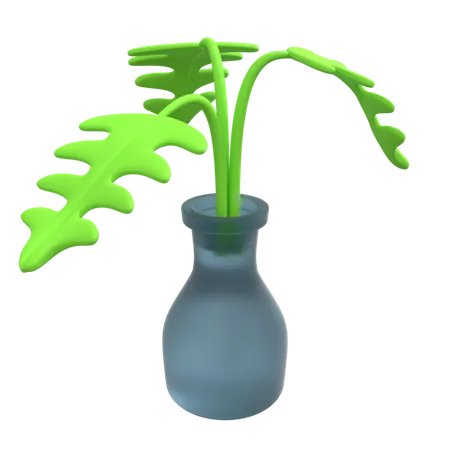 Plante décorative  3D Illustration