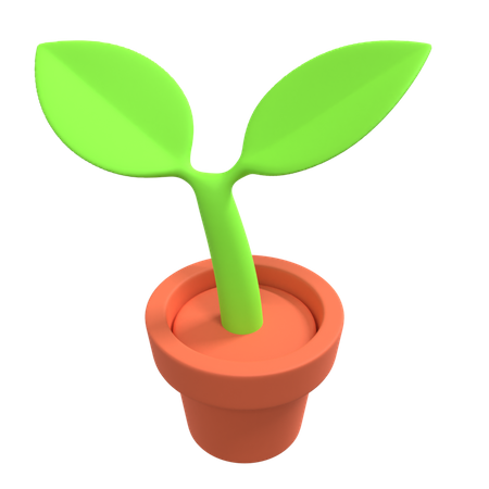 Plante décorative  3D Illustration