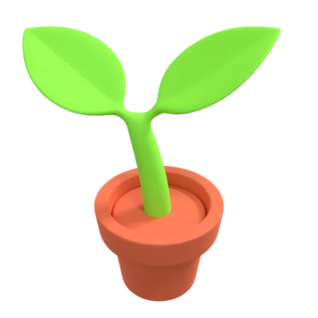 Plante décorative  3D Illustration