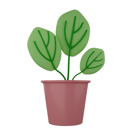 Plante décorative  3D Illustration