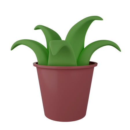 Plante décorative  3D Illustration