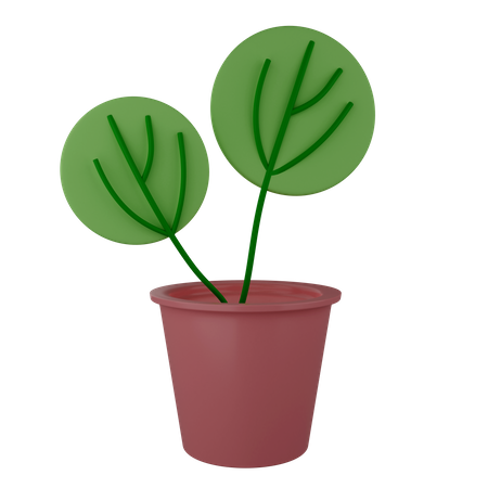 Plante décorative  3D Illustration