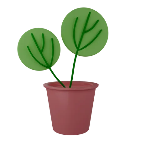 Plante décorative  3D Illustration