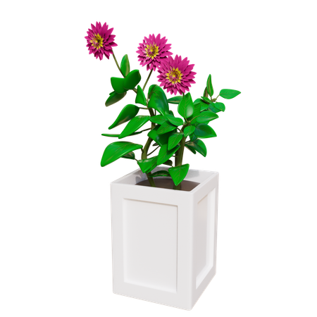 Plante d'appartement  3D Icon