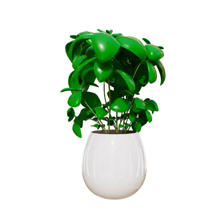 Plante d'appartement  3D Icon