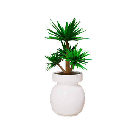 Plante d'appartement  3D Icon