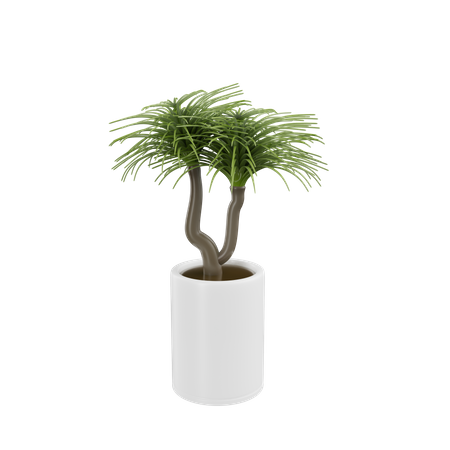 Plante d'appartement  3D Icon