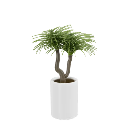 Plante d'appartement  3D Icon