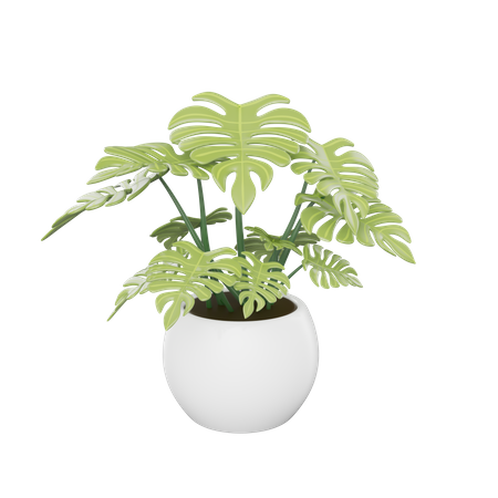 Plante d'appartement  3D Icon