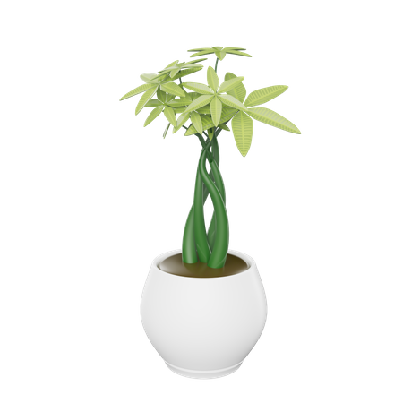 Plante d'appartement  3D Icon