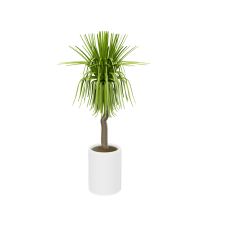 Plante d'appartement  3D Icon