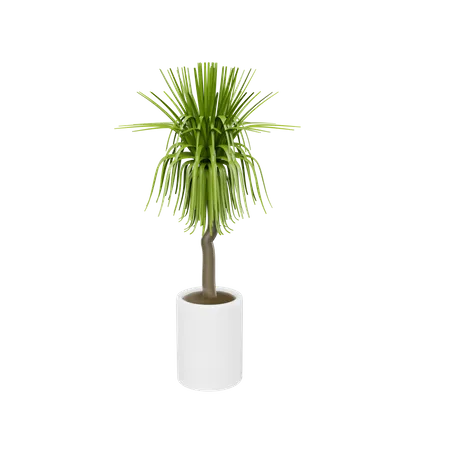 Plante d'appartement  3D Icon