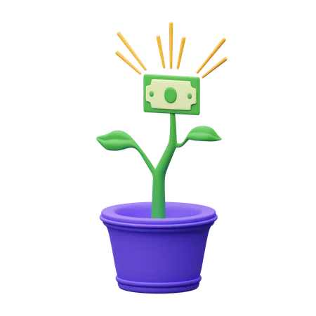 Plante dollar  3D Icon