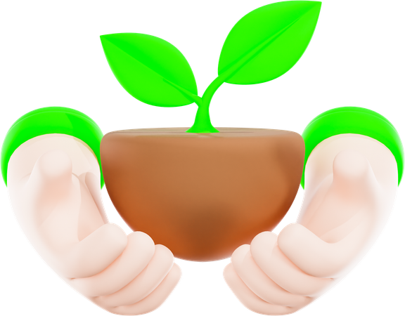Plante en germination  3D Icon