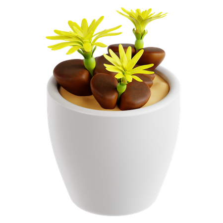 Plante de pierre vivante  3D Icon