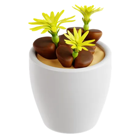 Plante de pierre vivante  3D Icon