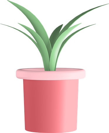 Plante en pot  3D Illustration