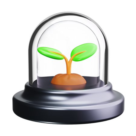Expérience végétale  3D Icon