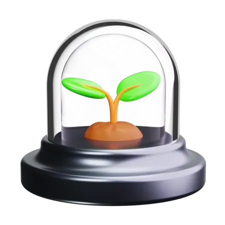Expérience végétale  3D Icon