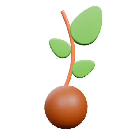 Plante germée  3D Illustration
