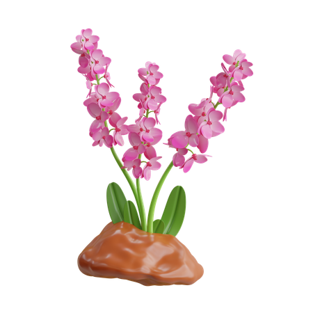 Plante d'orchidée  3D Icon