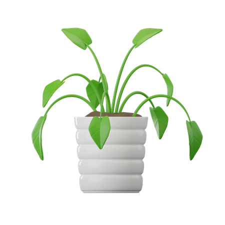 Plante philodendron  3D Icon