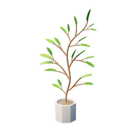 Plante en pouces  3D Icon