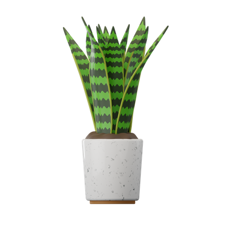 Plante serpent  3D Icon