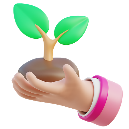 Plante uma árvore  3D Icon