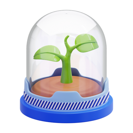 Plantar uma cúpula de vidro  3D Icon