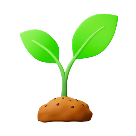 Plante verte  3D Icon