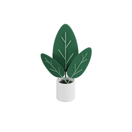 Plante verte  3D Icon