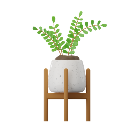 Plante de zamioculcas  3D Icon