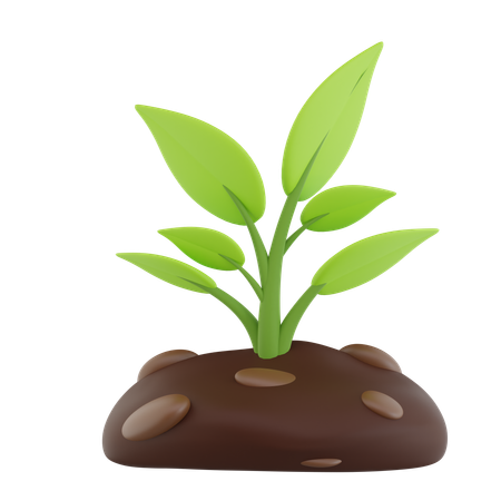 Plantes  3D Icon