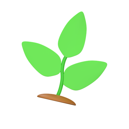 Plantes  3D Icon