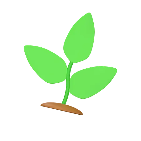 Plantes  3D Icon