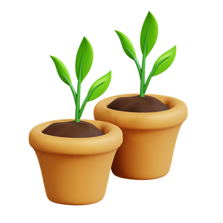 Plantes en pot  3D Icon