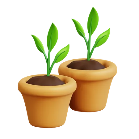 Plantes en pot  3D Icon