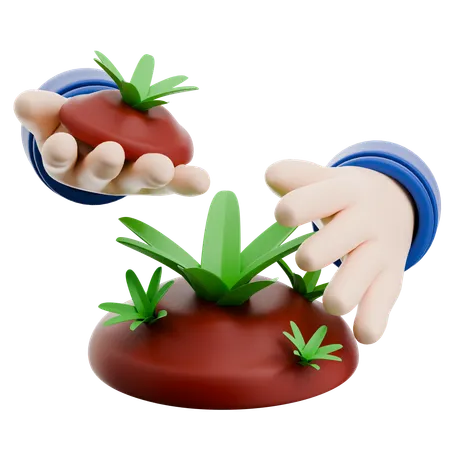 Planting  3D Icon