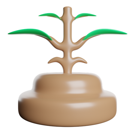 Planting  3D Icon