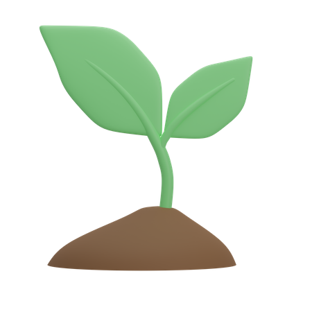 Planting  3D Icon
