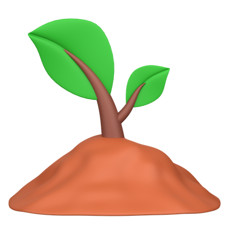 Planting  3D Icon