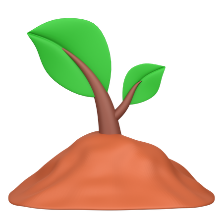 Planting  3D Icon