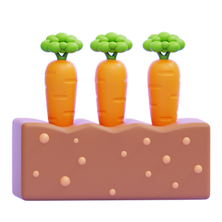 Planting Carrots  3D Icon