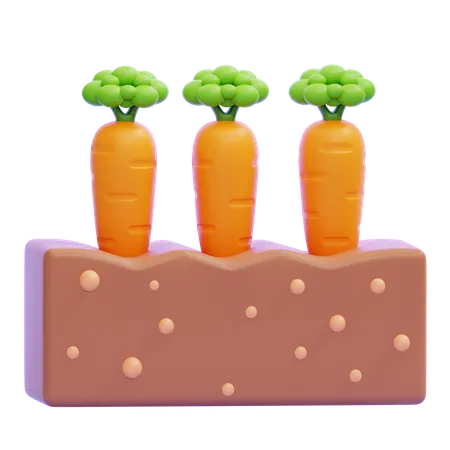 Planting Carrots  3D Icon