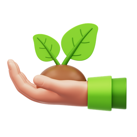 Planting Plant  3D Icon