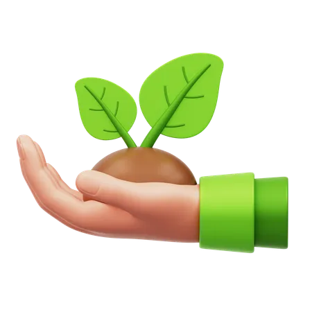 Planting Plant  3D Icon