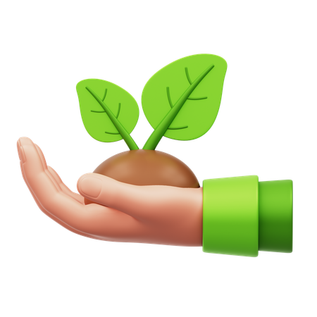 Plantar planta  3D Icon